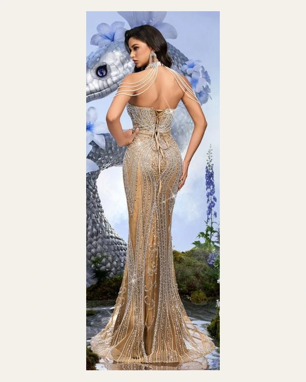 PTD-053 party dress reference