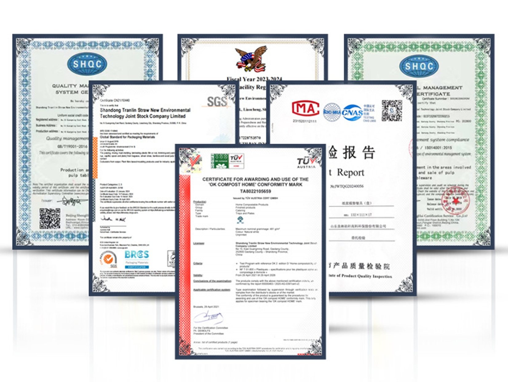 Supplier certification documents prepared for buyer review