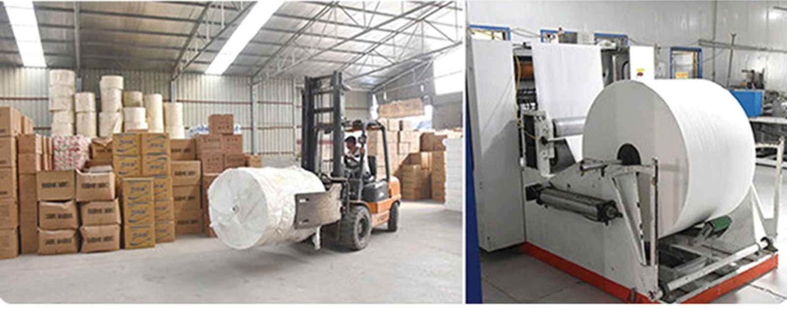 Tissue warehouse and production equipment proof prepared for buyer review
