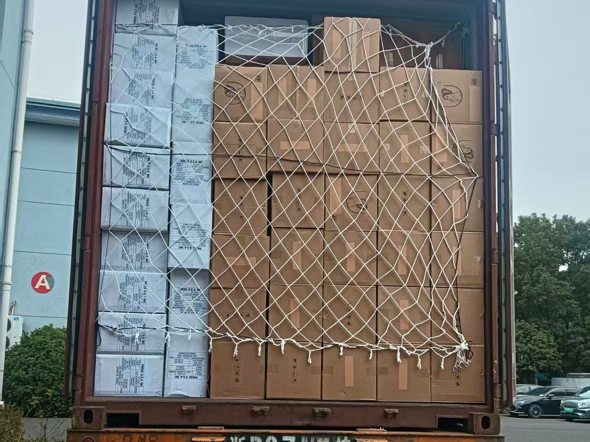 Loaded shipping container with secured cartons