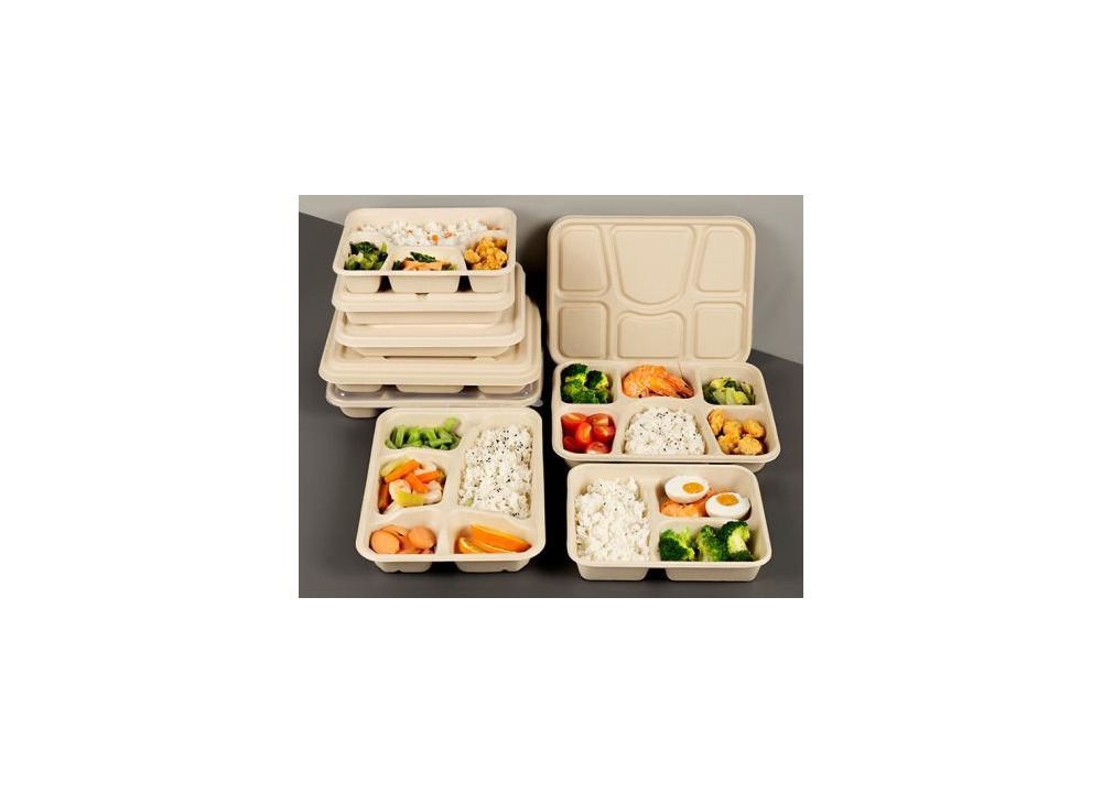 Paper food container with lid
