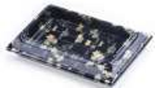 LS-PHC-99 9" PET Hinged Container